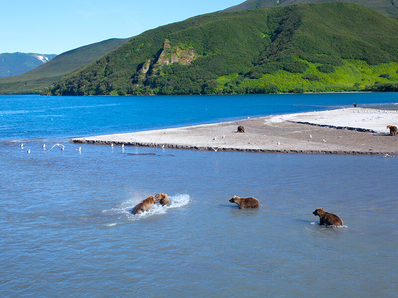 Alaska Waste Kodiak.